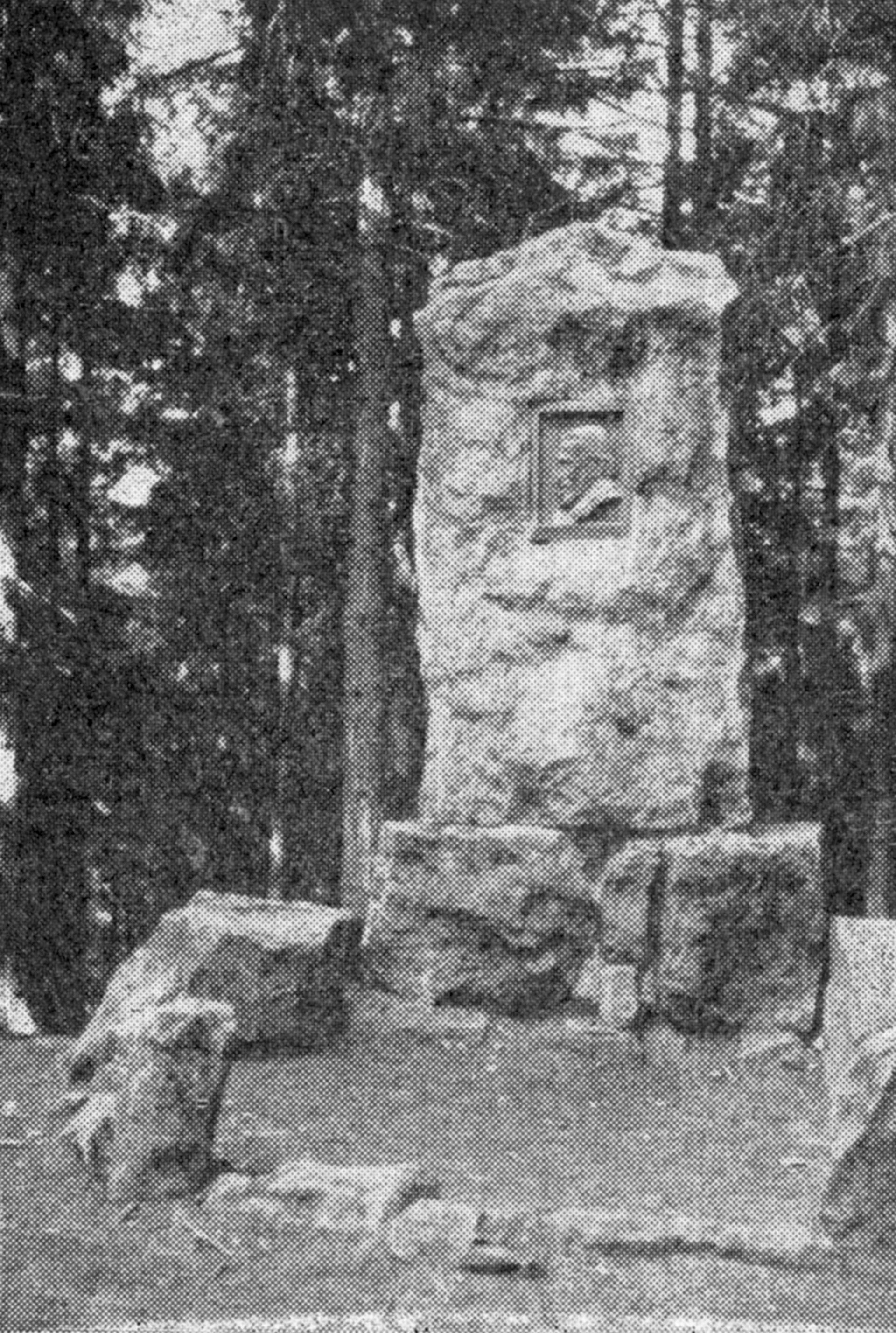 Raabedenkmal im Hils bei Eschershausen